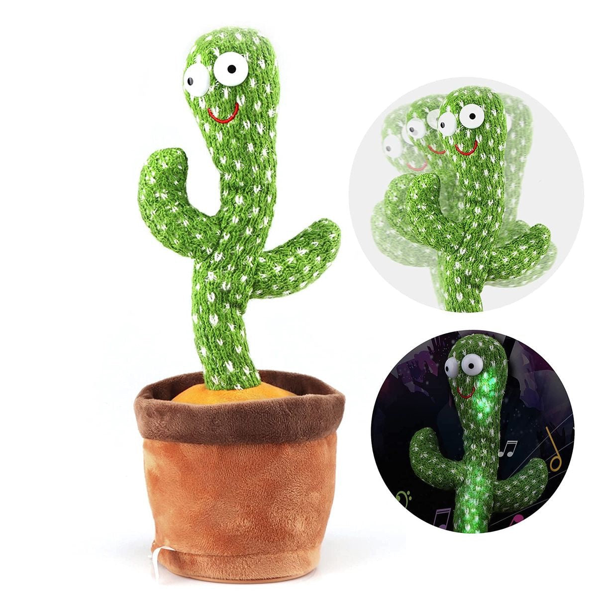 Cactus Bailarín + Envio Gratis