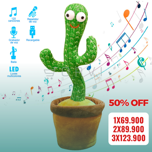 Cactus Bailarín + Envio Gratis